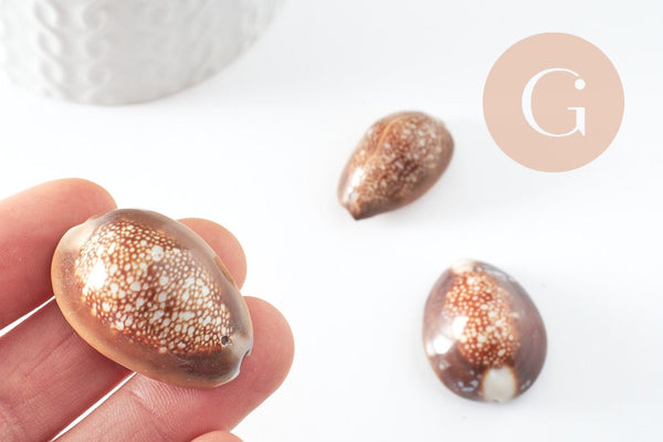 Pendentif coquillage naturel marron, coquillage porcelaine, pendentif coquillage, création coquillage bijou, x1 G0707