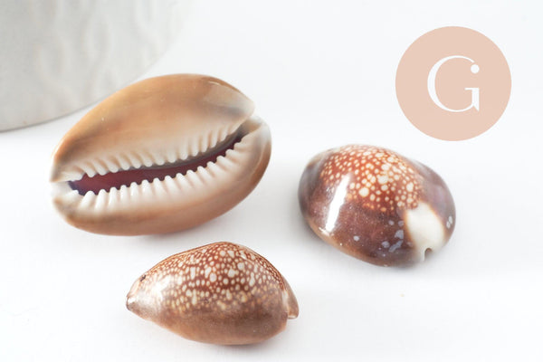 Pendentif coquillage naturel marron, coquillage porcelaine, pendentif coquillage, création coquillage bijou, x1 G0707