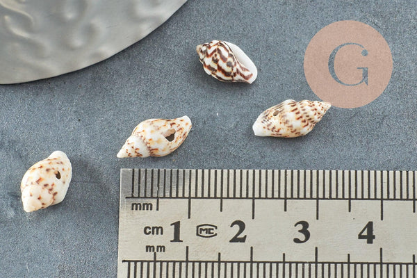 Pendentif coquillage naturel marron et blanc , coquillage percé pendentif coquillage, x20 (G1981)