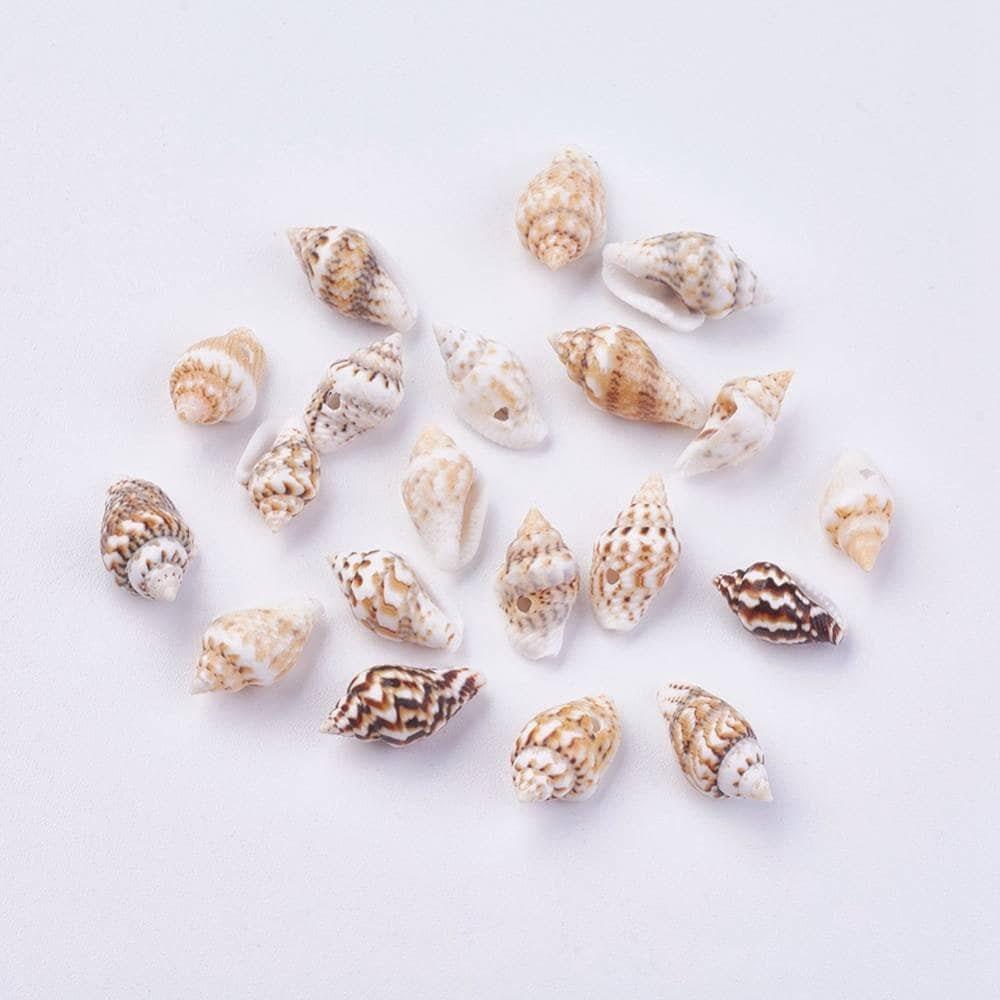 Pendentif coquillage naturel marron et blanc percé, x20 (G1981)