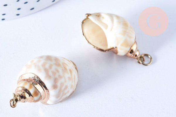 Pendentif coquillage naturel spirale doré 27-40mm, x1 (G7242)