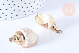 Pendentif coquillage naturel spirale doré 27-40mm, x1 (G7242)