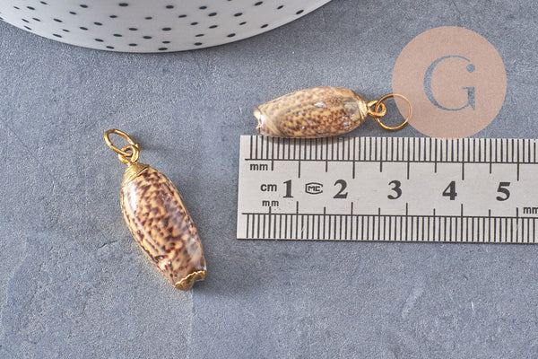 Pendentif coquillage naturel spirale doré, fourniture créative, doré, création bijoux, coquillage bijou,coquillage or,21-31mm G5131
