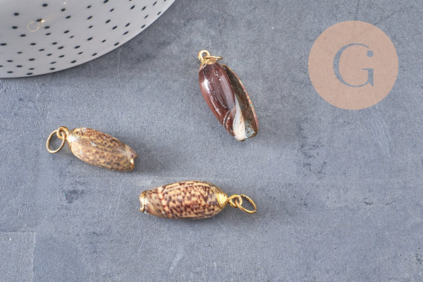 Pendentif coquillage naturel spirale doré, fourniture créative, doré, création bijoux, coquillage bijou,coquillage or,21-31mm G5131