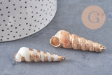 Pendentif coquillage naturel spirale doré, pendentif doré, création bijoux, coquillage bijou,coquillage or, 44-57mm-G5414