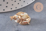 Pendentif coquillage naturel spirale doré, x1 (G2201)