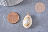 Pendentif coquillages cauri naturel beige fil doré torsadé 18K 24-32mm, x2 (G10319)