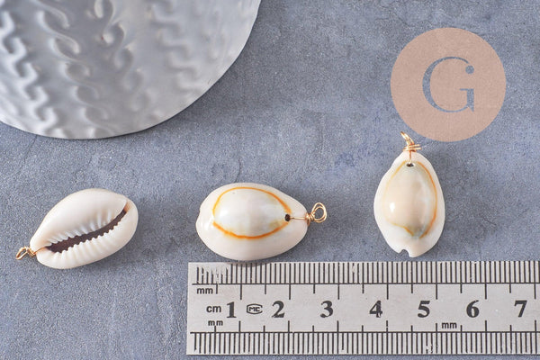 Pendentif coquillages cauri naturel beige fil doré torsadé 18K 24-32mm, x2 (G10319)