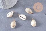 Pendentif coquillages cauri naturel beige fil doré torsadé 18K 24-32mm, x2 (G10319)