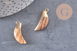 Pendentif corne jaspe paysage,jaspe marron, pendentif pierre, jaspe naturel, 26mm x1 (G1257)