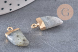 Pendentif corne labradorite naturelle laiton doré 21mm, x1 (G0555)