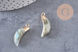 Pendentif corne labradorite, pierre, pendentif pierre,labradorite naturelle ,26mm, x1 (G0722)