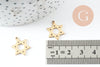 Pendentif étoile David acier 304 inoxydable doré PVD 18K 17mm, x1 (G9823)