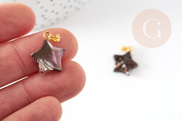 Pendentif étoile de mer noire nacre naturelle doré, coquillage noir, 18mm, x1 (G4366)