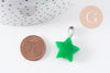 Pendentif étoile jade naturel vert acier inoxydable platine 22mm, x1 (G10072)