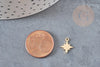 Pendentif étoile polaire acier 304 inoxydable doré IP 11.5mm, x2 (G6326)