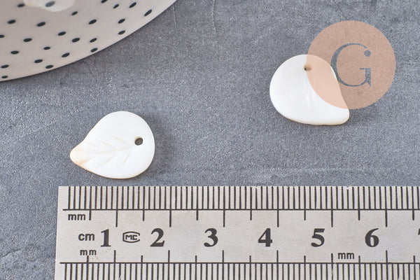 Pendentif feuille nacre blanche naturelle 17mm, x5 (G0909)