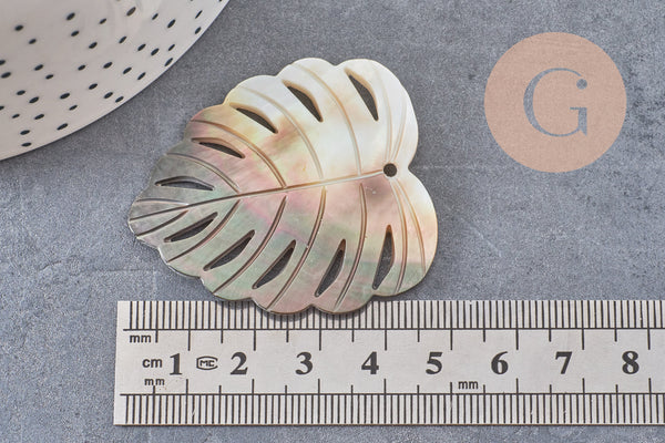 Pendentif feuille nacre naturelle monstera 47-48mm, x1 (G2624)