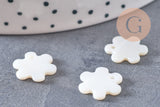 Pendentif fleur nacre blanche naturelle, nacre naturelle,coquillage blanc,13mm, x10 (G1060)