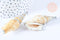 Pendentif grand coquillage naturel spirale beige argenté 58-66mm, pendentif création bijoux coquillage, x1 G7160