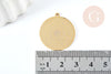 Pendentif médaille ronde astrologie acier 201 inoxydable doré 27.5mm, x1 (G6123)
