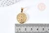 Pendentif médaille ronde vierge acier doré, pendentif doré sans nickel,acier doré,médaille or,22mm,x1 (G2651)