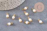 Pendentif perle ronde verre blanc nacré laiton doré 12,5mm, perle création bijoux imitation perle , x10 G7137