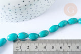 Perle Howlite ovale teintée turquoise foncé naturelle 12mm, x5 (G8743)