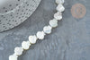 Perle Saint-Jacques nacre blanche naturelle 9,5~10mm, coquillage naturel, fil de 42cm, x1 (G7839)