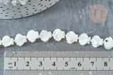 Perle Saint-Jacques nacre blanche naturelle 9,5~10mm, coquillage naturel, fil de 42cm, x1 (G7839)