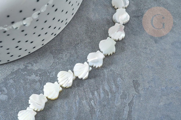 Perle Saint-Jacques nacre blanche naturelle 9,5~10mm, coquillage naturel, le fil de 42cm, x1 G7839