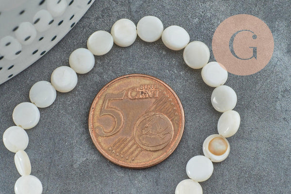 Perle disque nacre coquillage blanc naturel 6mm, x1 fil de 39cm (G5580)