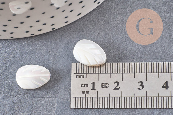 Perle feuille nacre blanche naturelle 9 ou 14mm, x10 (G5850)