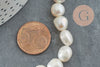 Perle naturelle blanche eau douce, 8-9mm, x1 fil de 33cm (G2433)