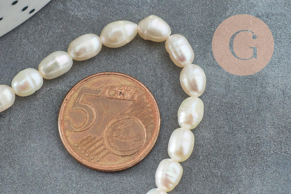 Perle naturelle blanche grain de riz 5-7mm grade A, x1 fil de 18cm (G6832)