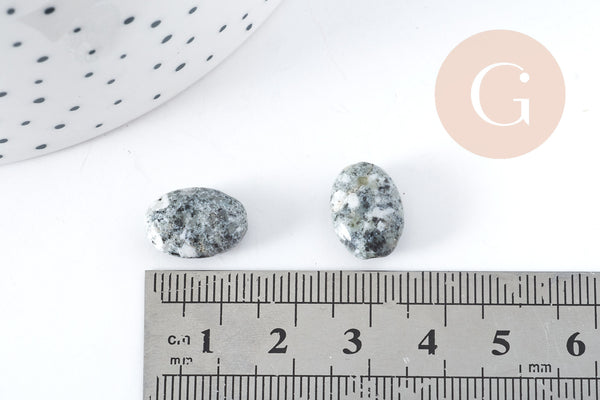 Perle ovale Yooperlite sodalite gris naturelle 19x9mm, x5 (G8279)