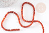 Perle rondelle cornaline orange naturelle lisse, pierre naturelle, 4-4.5mm, fil de 38cm, x1 (G4547)