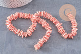 Perles chips coquillage naturel teinté en rose 15mm, fil de 40cm, x1 (G0147)