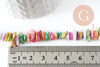 Perles chips coquillage naturel teinté multicolore 5-9mm,création bijoux plage coquillage,le fil de 29cm x1 (G9507)