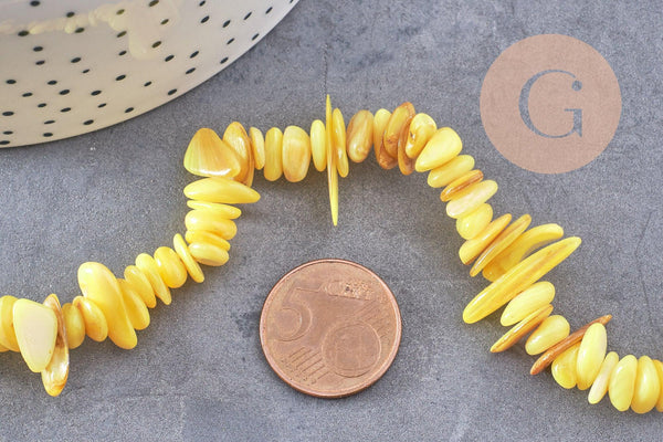 Perles chips de coquillage naturel jaune, 20mm,le fil 76cm, x1 (G8049)