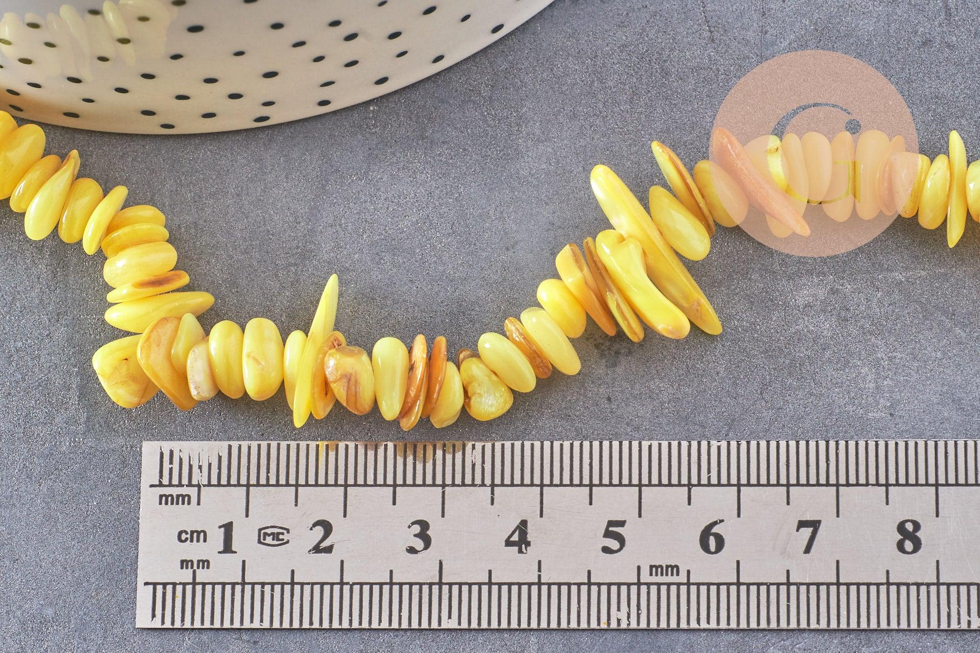 Perles chips de coquillage naturel jaune, 20mm,le fil 76cm, x1 (G8049)