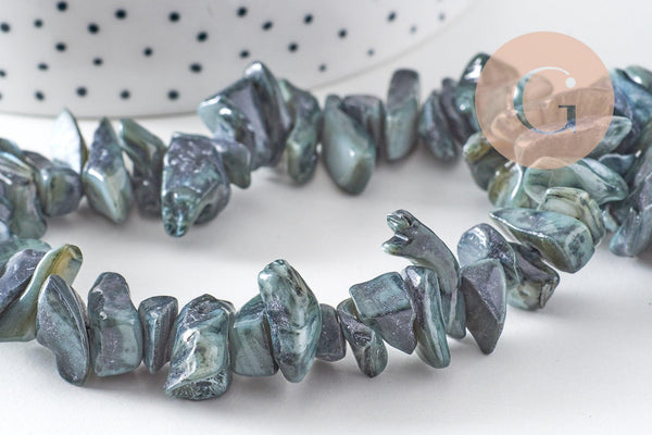 Perles chips de coquillage noir, coquillage naturel, 75 perles, fil de 40 cm, x1 (G1052)