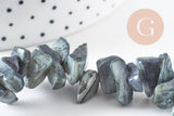 Perles chips de coquillage noir, coquillage naturel, 75 perles, fil de 40 cm, x1 (G1052)
