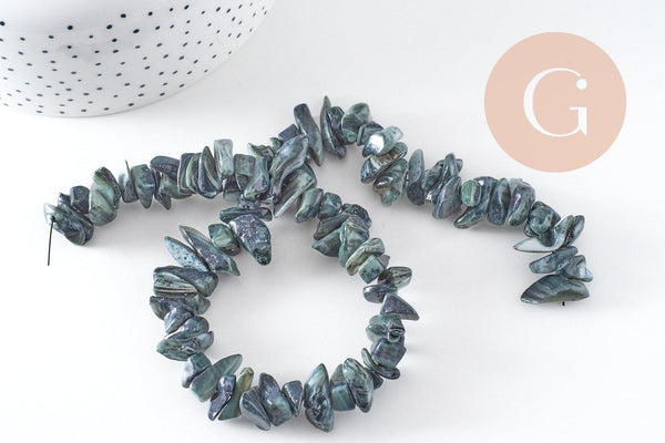 Perles chips de coquillage noir, coquillage naturel, 75 perles, fil de 40 cm, x1 (G1052)