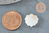 Perles coquillage nacre blanche naturelle 15.5mm, x2 (G3424)