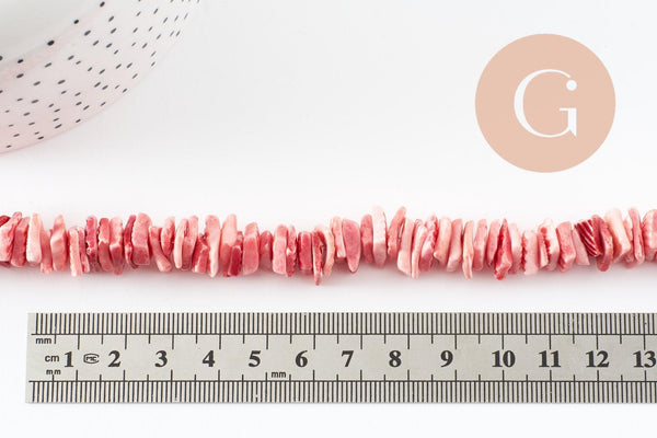 Perles coquillage naturel coloré 10-20mm, chips coquillages,perle coquillage, fil de 38cm, x1 (G4074)