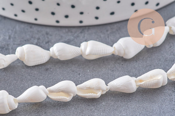 Perles coquillage naturel percés blanc, x1 fil de 135cm (G7987)