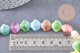 Perles coquillage porcelaine multicolore 13.5mm, x1 fil de 30cm (G10324)