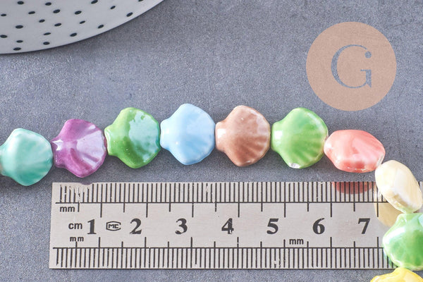 Perles coquillage porcelaine multicolore 13.5mm, x1 fil de 30cm (G10324)