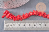 Perles corail rouge naturel, x20 grammes (G0994)